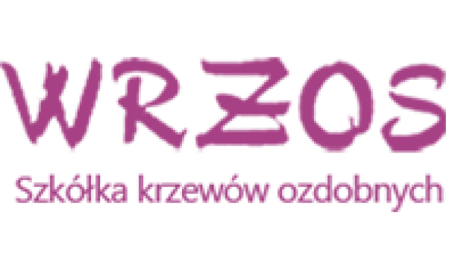 Strony www Rzeszów i pozycjonowanie stron www